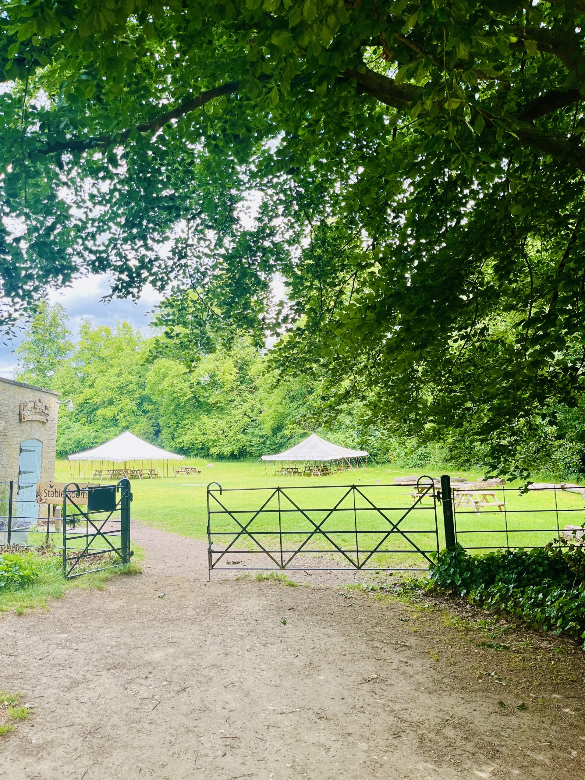 Hélène Millot - The Venue